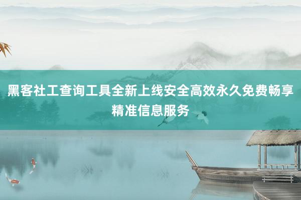 黑客社工查询工具全新上线安全高效永久免费畅享精准信息服务
